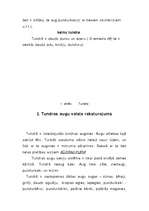 Referāts 'Tundra', 6.