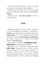 Referāts 'Tundra', 8.