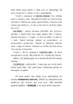 Referāts 'Tundra', 9.