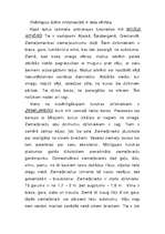 Referāts 'Tundra', 11.