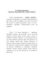 Referāts 'Tundra', 13.