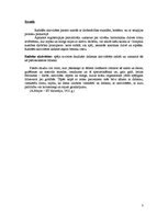 Referāts 'Radošās aktivitātes Camphill kustībā', 3.