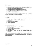 Referāts 'Radošās aktivitātes Camphill kustībā', 6.