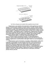 Referāts 'Rezistīvie mērpārveidotāji', 10.