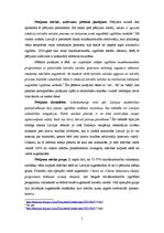 Eseja 'Sociāla pētījuma analīze', 2.