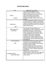 Biznesa plāns 'Produkta apraksts', 5.