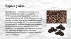 Prezentācija 'Полезные ископаемые - уголь', 6.