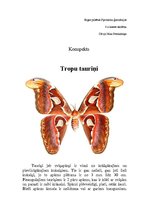 Konspekts 'Tropu tauriņi', 1.