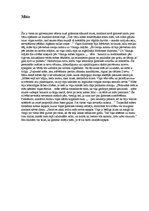 Referāts 'Tēlu raksturojums A.Grīna romānā "Dvēseļu putenis"', 5.