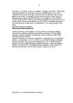 Referāts 'Informācijas drošība datoros', 22.