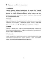 Prakses atskaite 'Prakses atskaite tūrisma aģentūrā "Flamingo Tour"', 7.