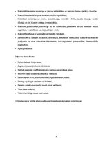 Prakses atskaite 'Prakses atskaite tūrisma aģentūrā "Flamingo Tour"', 9.