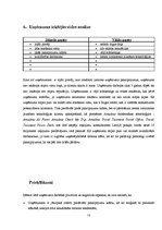 Prakses atskaite 'Prakses atskaite tūrisma aģentūrā "Flamingo Tour"', 12.