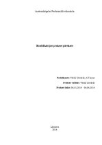 Prezentācija 'Kvalifikācijas prakses pārskats - automehāniķis', 1.