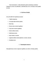 Prezentācija 'Kvalifikācijas prakses pārskats - automehāniķis', 5.