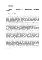 Referāts 'Jaunieša "Es- koncepcijas" būtiskākie aspekti', 1.