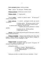 Referāts 'Jaunieša "Es- koncepcijas" būtiskākie aspekti', 2.