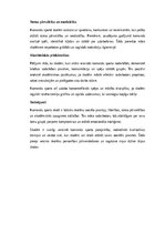 Eseja 'Komandu sports skolā: sadarbība, sociālās prasmes un akadēmiskā izaugsme', 2.