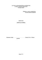 Referāts 'Adopcija un ētika', 1.