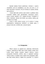 Referāts 'Sīkās pirkstu muskulatūras attīstība rakstītprasmes apguvei', 7.