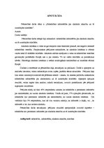 Diplomdarbs 'Sabiedrības informētība par alkohola atkarību un tā izraisītajām slimībām', 2.