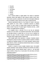 Referāts 'Protokola loma diplomāta profesionālajā un sabiedriskajā dzīvē', 3.