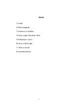 Referāts 'Tiesību avoti', 2.