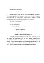 Referāts 'Tiesību avoti', 6.