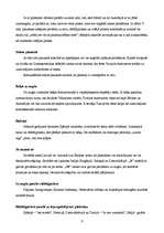 Referāts 'Neverbālās komunikācijas kultūru atšķirības', 6.