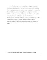 Referāts 'Kristofors Kolumbs un viņa sasniegumi', 3.