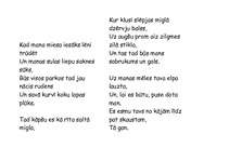 Eseja 'A.Čaka dzejoļa "Rīgai" analīze pēc jaunās kritikas metodes', 2.