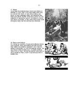 Referāts 'Raganas viduslaikos', 27.