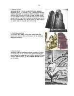 Referāts 'Raganas viduslaikos', 32.