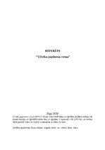 Konspekts 'Cilvēka papilomas vīruss', 1.