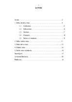 Referāts 'Baltu un lībiešu vidējā un vēlā dzelzs laikmeta rotas', 1.