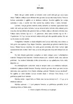 Referāts 'Baltu un lībiešu vidējā un vēlā dzelzs laikmeta rotas', 2.