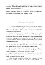 Referāts 'Baltu un lībiešu vidējā un vēlā dzelzs laikmeta rotas', 9.