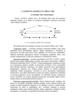 Prakses atskaite 'Starptautisko kravu pārvadājumu uzņēmums', 10.