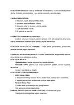 Referāts 'Uzņēmuma kvalitātes sistēmas', 6.