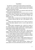 Biznesa plāns 'SIA "Sports Pro"', 4.