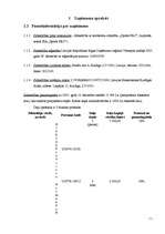 Biznesa plāns 'SIA "Sports Pro"', 5.