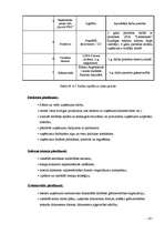 Biznesa plāns 'SIA "Sports Pro"', 20.