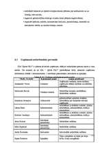 Biznesa plāns 'SIA "Sports Pro"', 21.