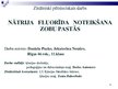 Prezentācija 'Nātrija fluorīda noteikšana zobu pastās', 1.