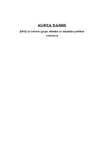 Referāts 'Zemgales nevalstisko organizāciju un interešu grupu attīstība, līdzdalība politi', 1.