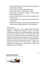 Referāts 'Zemgales nevalstisko organizāciju un interešu grupu attīstība, līdzdalība politi', 12.