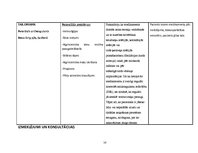 Prakses atskaite 'Aprūpes plāns kardioloģijā', 14.