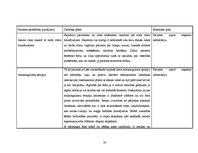 Prakses atskaite 'Aprūpes plāns kardioloģijā', 30.