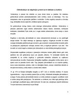 Referāts 'Pasaules globālā migrācija', 4.