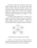 Referāts 'Resursu organizēšana uzņēmējdarbībā', 7.